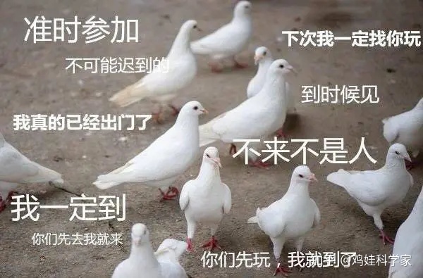 易经里的字不认识咋办_铅笔芯扎到皮肤里咋办_李里 易经