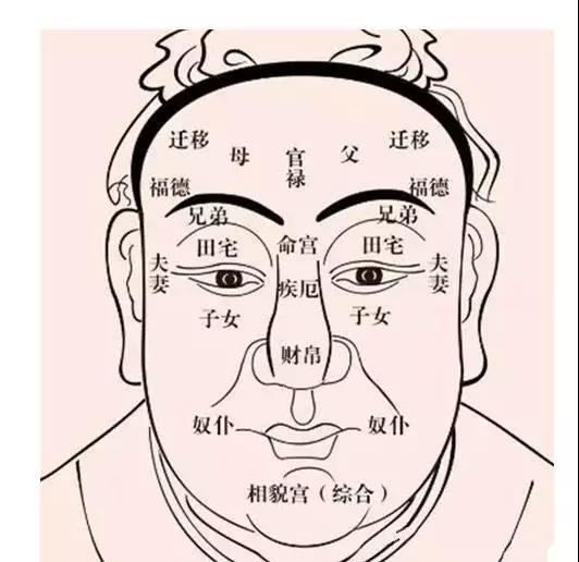 手相学_头骨相学图_相学课程