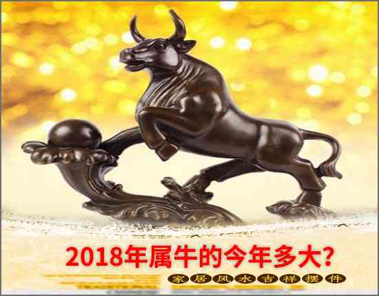 2018年属牛的今年多大