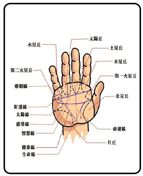 手相图解大全男感情线_手相图解大全男情欲线_手相图解大全男