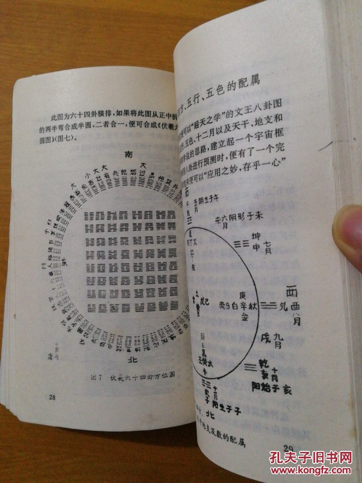 水墨画梅花入门_高数自学视频哪个好_梅花易数自学入门