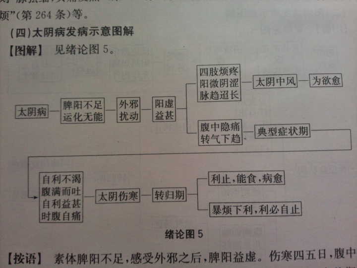 阴阳一调百病消_阴阳一调百病消视频_阴阳消长