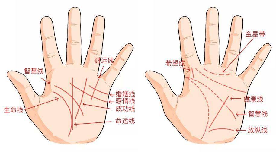 男人二婚手相图解成功线_男人手相事业线分叉图解_男人手相爱情线图解