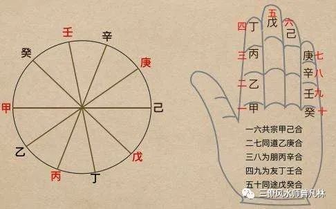 地支墓地半合_天干合地支相刑_地支合