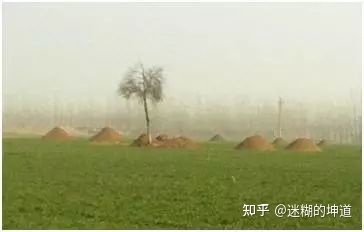 农村墓地效果图农村墓地风水_site99166.com 阴宅风水大师教你怎样看墓地风水_墓地风水