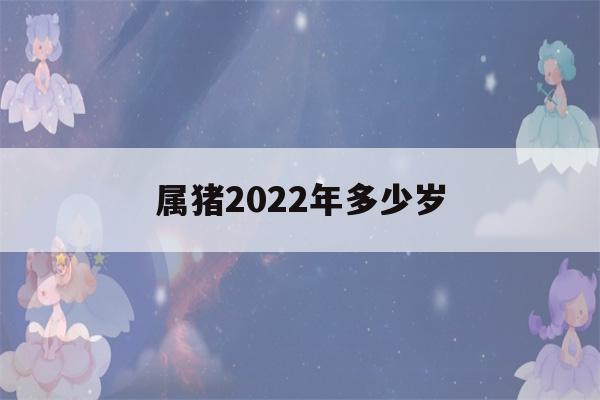 属猪2022年多少岁