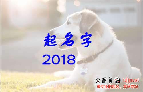 属狗宝宝起名 狗年出生的宝宝起名禁忌有哪些？