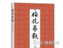 梅花易数占卦软件 梅花易数有声小说