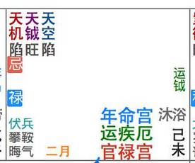 紫微排盘软件_八字排盘藏干_紫微斗数排盘软件带藏干