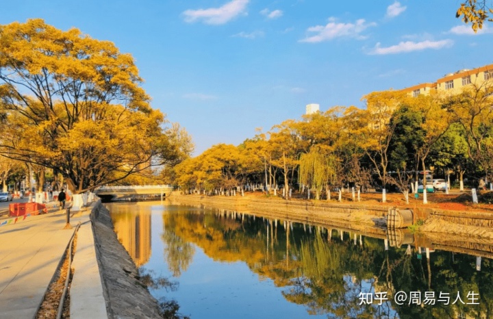 女八字日柱日主_日柱看婚姻,八字日柱配偶哪里人_壬戌日柱八字分析案例