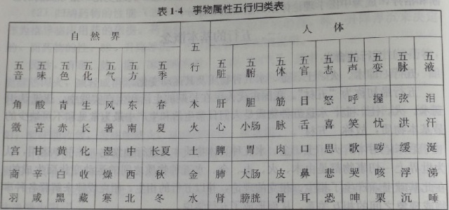 智五行属什么_90年属马的五行属什么_第一个字五行属土第二个字五行属金 名字有哪些