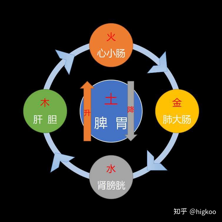 先天奇门遁甲详解 中医与风水，这对“难兄难弟”有着怎样的联系？