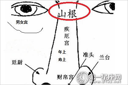 手相学上有9种发财纹_鼻背纹相学有什么说法_相学上说颈纹深好不好