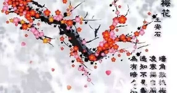 梅花易数体用准吗_周易梅花数_体脂秤准还是体重秤准