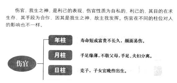 财格用伤官八字案例_八字伤官财是什么意思_徐伟刚八字伤官配印格