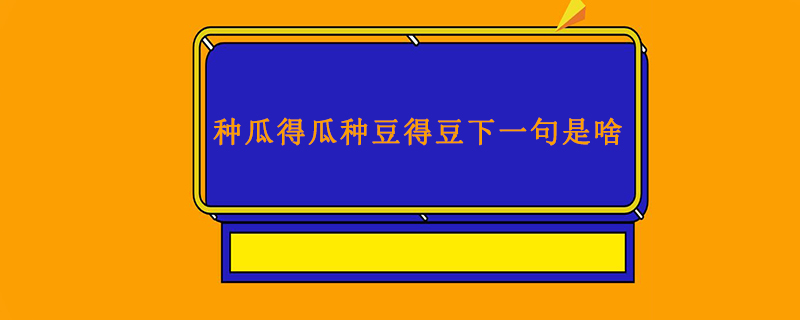 豆瓜训练_种瓜得瓜种豆得豆哲学思想_豆瓜小说网