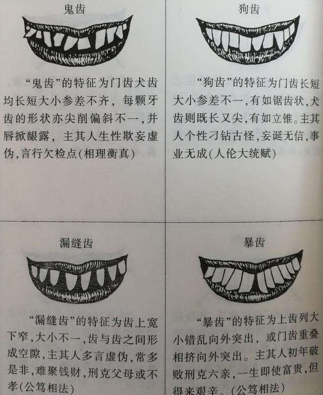 牙齿稀面相_牙齿很稀怎么办_大牙齿稀老塞牙怎么办