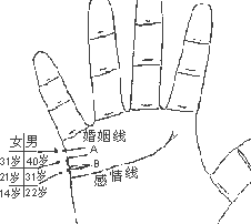 女人右手手相算命图解_看女人手相算命图解视频_富贵女人手相算命图解