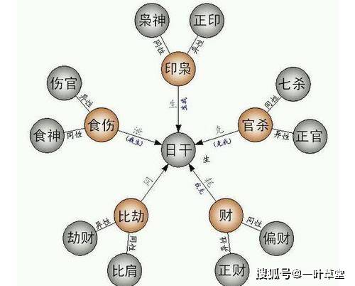 基础护理知识重点知识_子平八字基础知识入门_八字知识入门