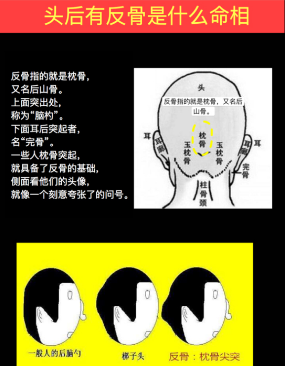 后脑有骨头突出相学_后脑有一块骨头突出_后脑有骨头有很多突出