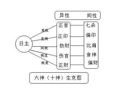 八字地支十神查询_八字查询十神_天干十神地支十神区别