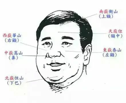 麻衣相术性欲强女人面相_相术面相痣图解_麻衣相术图解大全