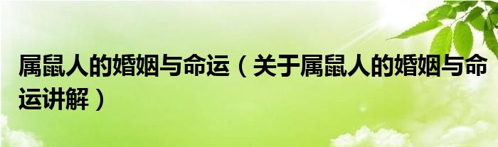 属鼠的人纹身 属鼠人的婚姻与命运（关于属鼠人的婚姻与命运讲解）