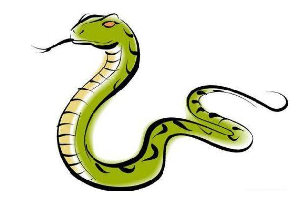 属蛇的穿什么颜色 土蛇五行适合什么颜色，属蛇的今年什么颜色最旺