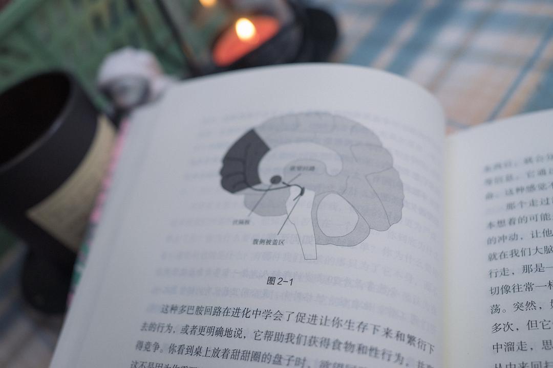 时代是思想之母_论哲学是时代精神的精华怎么写_错误的哲学思想是对时代的反映吗