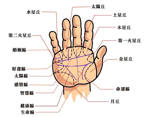 手相感情线有岛纹的图_手相学图_手相算命图