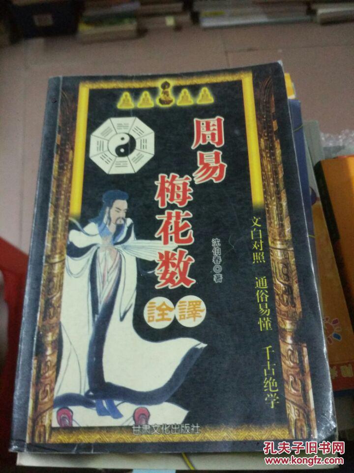 周易大师3有声小说_周易大师前传_周易大师前传之梅花易数小说解析