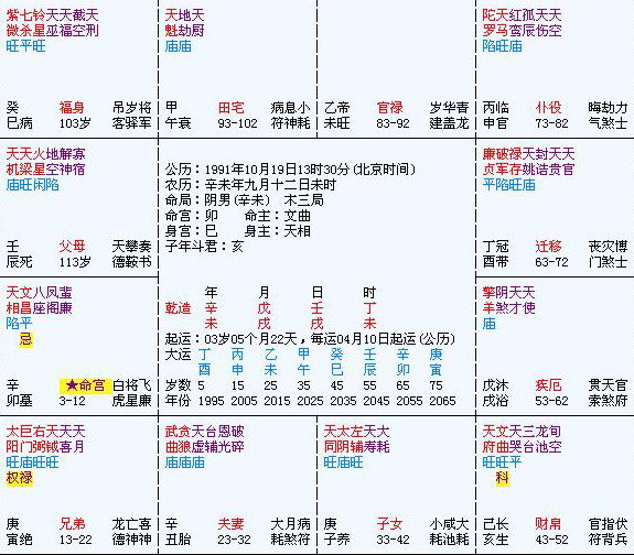 紫薇斗数看适合在外打拼的命盘_紫微斗数看大运事业_紫薇斗数看2017年运势