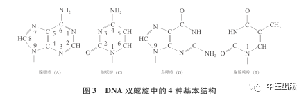 杨庆中易经讲座视频_杨庆中易经_易经中的无极