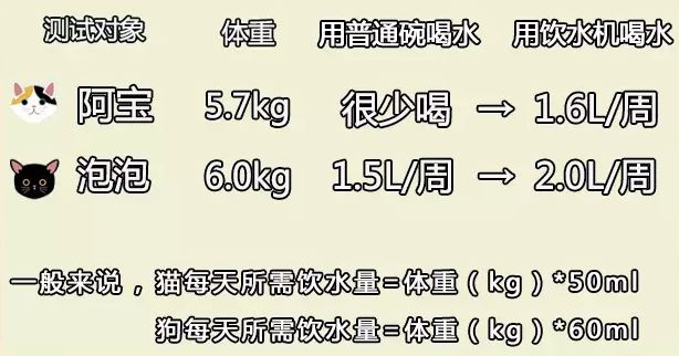 老阳_曹思阳老公刘垚圣背景_阳新到富池老渡口怎么走