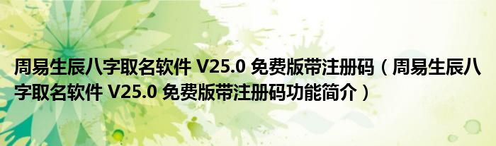 周易八字五行起名软件_周易八字取名专业版起名解名大师_周易八字起名专业版