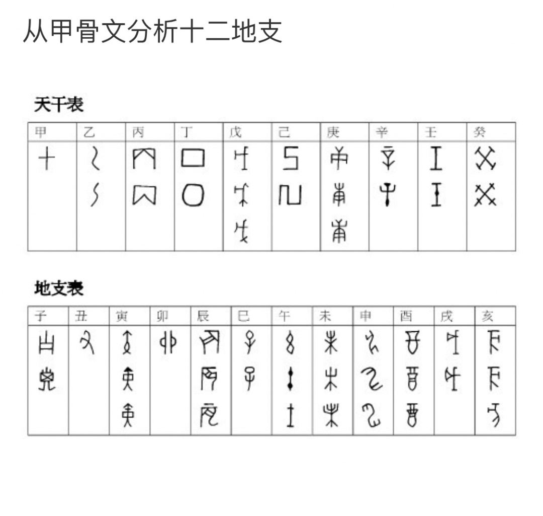 天干地支 甲骨文干支和腓尼基字母比较和分析的区别