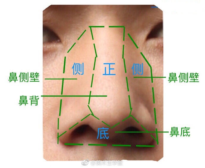 痣相学图解_鼻子和嘴巴一样大相学_鼻子相学图解