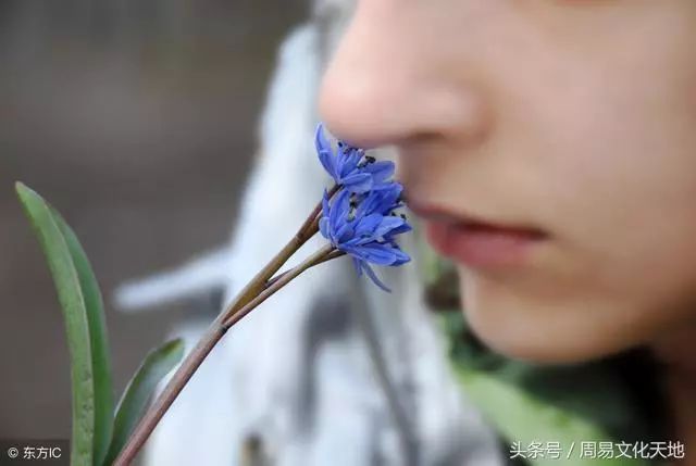 月休囚日帝旺怎么判断_六爻用神休囚为凶_田子为相 三年归休的归休是什么意思