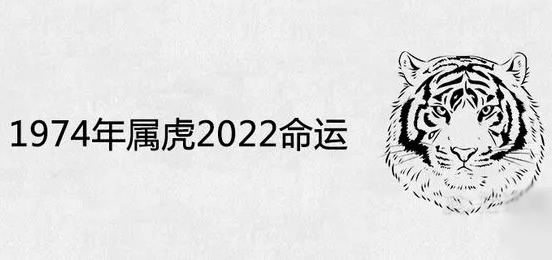 2024年属虎人在2024年,已经59岁了