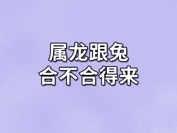 属狗的和属鸡的合财吗_属龙和属兔合不合_属龙的和属狗的合财吗