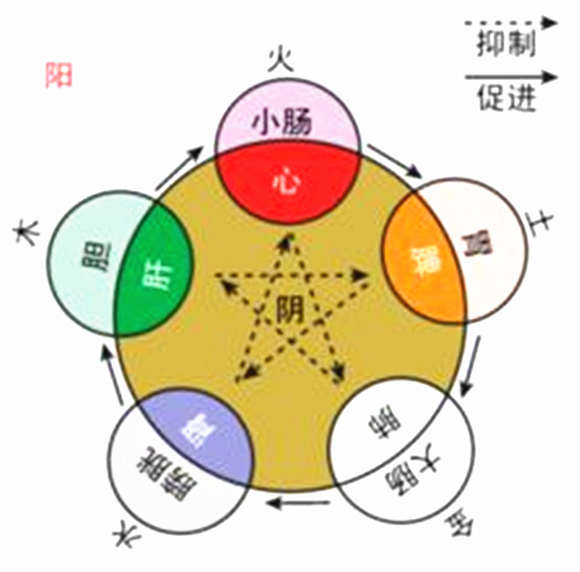 【每日一题】阴阳五行“阴阳”与“五行”