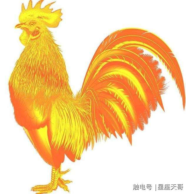 1981年属鸡的吉祥颜色是什么_1981年鸡和1988年的龙生啥属相好_属龙的2019年吉祥颜色