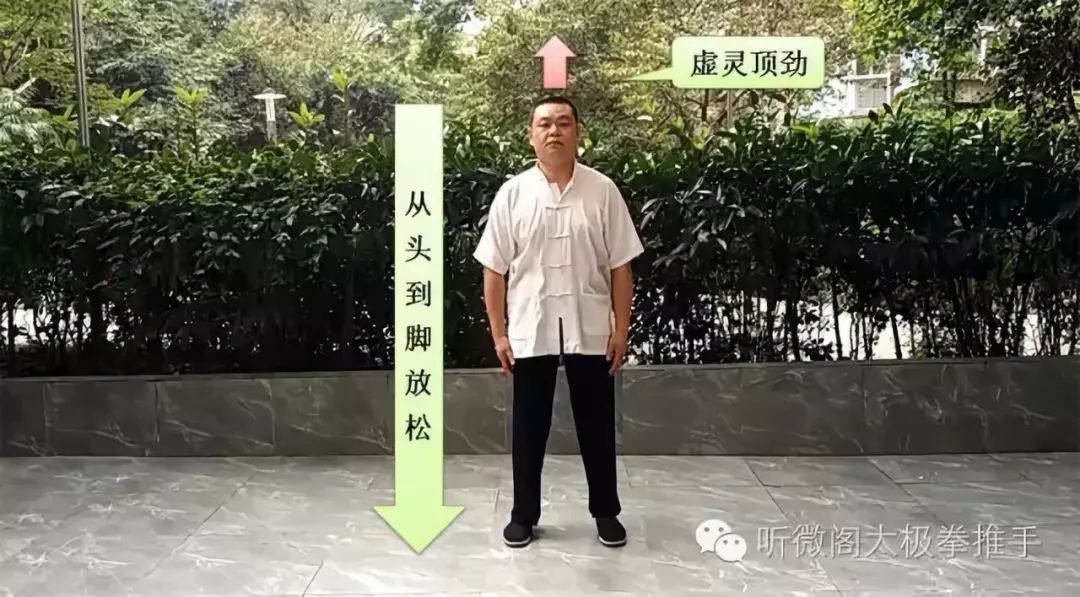 无极太极两仪四象八卦_无极与太极的关系_太极者无极而生