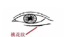 三大旺夫面相代表_面相学眼睛代表什么_面相眼睛图解