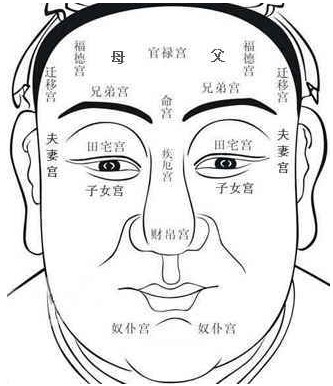 鼻子有竖纹面相图解_嘴唇有竖纹面相分析_嘴角两边有竖纹面相