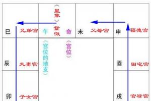 紫微斗数十二宫化科的含义