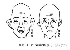 耳廓上长毛面相学_没有耳廓的耳朵 面相_男人左下巴有大痣长毛 面相