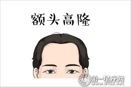 面相额头看相图解_面相学额头命宫图解_额头面相算命图解