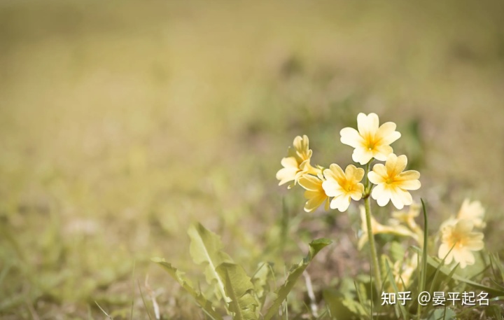 周易企业起名测名字打分_周易企业起名测吉_周易企业起名打分测试