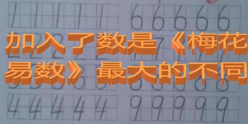 生活里的冷知识：邵雍“一物从来有一身”全靠天赋预测的梅花易数